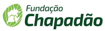 Fundacao Chapadao